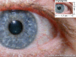 Epson Aculaser CX11NF: Auge (siehe Bild ganz oben, kleines Auge in Bildmitte) in rund 18facher Vergrößerung.