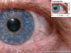 Oki C5510 MFP: Auge (siehe Bild ganz oben, kleines Auge in Bildmitte) in rund 18facher Vergrößerung.