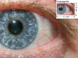 Konica Minolta Magicolor 2480MF: Auge (siehe Bild ganz oben, kleines Auge in Bildmitte) in rund 18facher Vergrößerung.