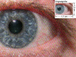 Konica Minolta Magicolor 2490MF: Auge (siehe Bild ganz oben, kleines Auge in Bildmitte) in rund 18facher Vergrößerung.