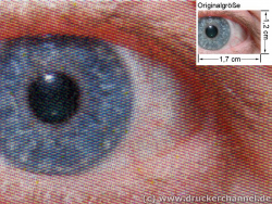 Brother MFC-9420CN: Auge (siehe Bild ganz oben, kleines Auge in Bildmitte) in rund 18facher Vergrößerung.
