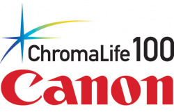 "ChromaLife 100": Zum Einsatz kommt die Tinte, die auch in vielen Patronen-Pixmas verwendet wird.