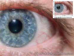 Maximale Auflösung: Auge (siehe Bild oben, kleines Auge in Bildmitte) in rund 18facher Vergrößerung.