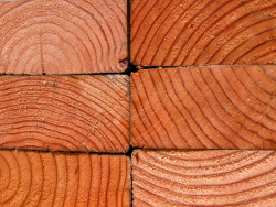 Holz: Grundstoff für Papierherstellung.