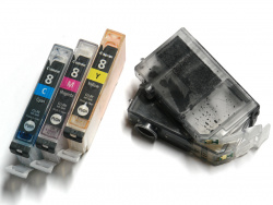 Easy to refill: Canons single-ink-cartridges.
