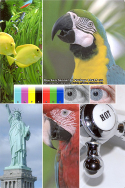 Fotodruck auf Epson Premium Glossy Photo Paper (ICM, Beste Auflösung, ~ 2 min f. 10x15).