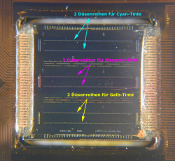 Druckkopf: Starke Vergrößerung eines HP-Druckkopfes (6578). Deutlich sind die sechs Düsenreihen zu sehen.