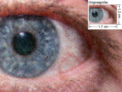 Farbdruck CP1215: Auge (siehe Bild oben, kleines Auge in Bildmitte) in rund 18facher Vergrößerung.