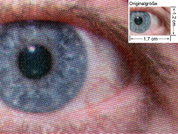 Farbdruck CP1515n: Auge (siehe Bild oben, kleines Auge in Bildmitte) in rund 18facher Vergrößerung.