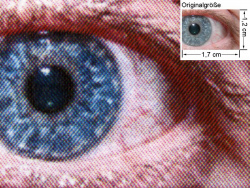 Fotomodus mit 1.200 dpi: Auge (siehe Bild oben, kleines Auge in Bildmitte) in rund 18facher Vergrößerung.