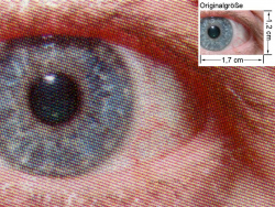 Oki C5900n: Auge (siehe Bild oben, kleines Auge in Bildmitte) in rund 18facher Vergrößerung.