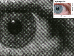 Brother HL-2030: Auge (siehe Bild oben, kleines Auge in Bildmitte) in rund 18facher Vergrößerung.