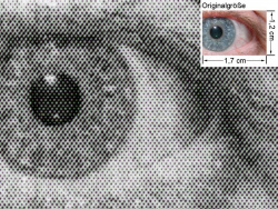 HP Laserjet 1018: Auge (siehe Bild oben, kleines Auge in Bildmitte) in rund 18facher Vergrößerung.