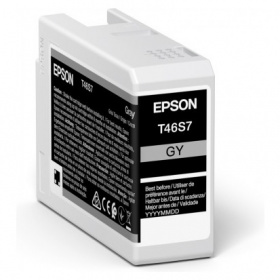 Epson T46S7