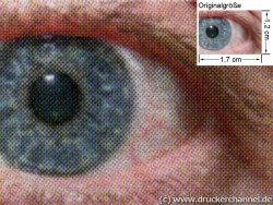 HP Color Laserjet 2840 AIO: Auge (siehe Bild ganz oben, kleines Auge in Bildmitte) in rund 18facher Vergrößerung.