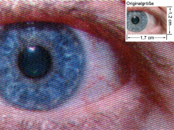 Oki C3530 MFP: Auge (siehe Bild ganz oben, kleines Auge in Bildmitte) in rund 18facher Vergrößerung.