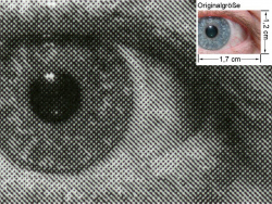 Brother DCP-7010: Auge (siehe Bild ganz oben, kleines Auge in Bildmitte) in rund 18facher Vergrößerung.