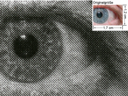 Brother DCP-7025: Auge (siehe Bild ganz oben, kleines Auge in Bildmitte) in rund 18facher Vergrößerung.