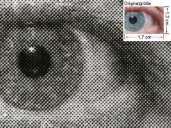 Konica Minolta PagePro 1380MF: Auge (siehe Bild ganz oben, kleines Auge in Bildmitte) in rund 18facher Vergrößerung.
