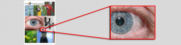 Das Auge: Aus der Fotovorlage scannt Druckerchannel das kleine Auge aus der Bildmitte.