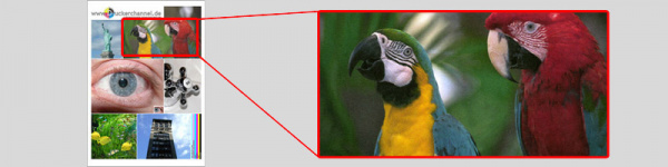 Der Papagei: Druckerchannel scannt einen großen Bereich mit 300 dpi, um die Papageien bei normalem Betrachtungsabstand zu zeigen. In dieser Vergrößerung sind besonders gut störende Streifen oder Düsenausfälle zu sehen.
