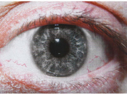 Das Auge im Druckmodus "Fine Pattern": Raster ist nicht mit bloßem Auge zu erkennen. Das blau des Auges wirkt jedoch eher grau.