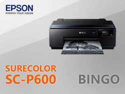 Bingo 184 - November 2018 - Teaser