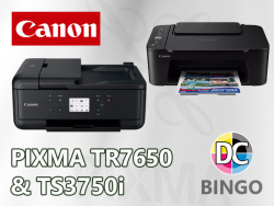 Bingo 257 Teaser 4:3 - Dezember 2024 - Canon Pixma TR7650 Canon Pixma TS3750i