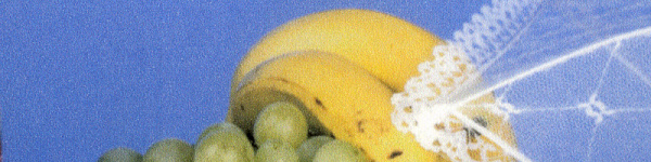 Brother DCP-J4120DW: Fotokopie in hoher Qualität.