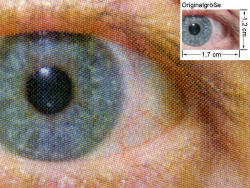 Farbdruck: Auge (siehe Bild oben, kleines Auge in Bildmitte) in rund 18facher Vergrößerung.