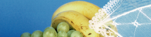 Brother MFC-J5730DW: Gefällige, jedoch überzeichnete Farbdarstellung mit guter Schärfe.