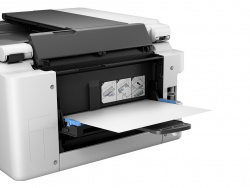 Canon MAXIFY GX4050: Gerader Einzug auf der Rückseite.