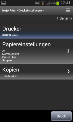 Dokumente drucken: Neben Papierformat und -sorte lässt sich auch angeben, ob der Drucker in Graustufen oder in Farbe drucken und ob der Druck ein- oder beidseitig erfolgen soll.