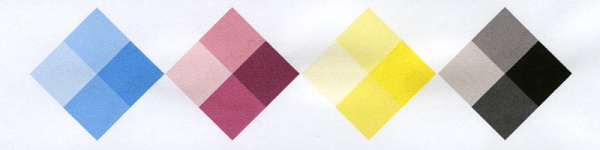 Canon Maxify iB4050: Den pigmentierten Tinten kann Wasser nichts anhaben.