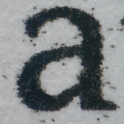 Canon Maxify MB5150: Textkopie unter dem Mikroskop.