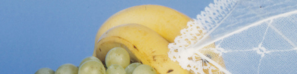 Canon Maxify MB5150: Dezente aber gute Farbwiedergabe.