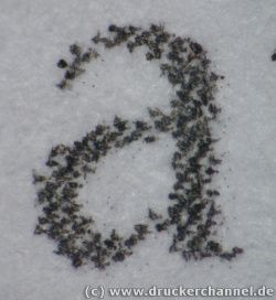 Schnelldruck (Entwurf)