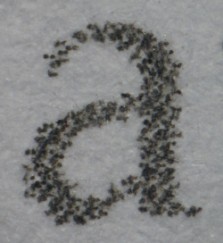 Canon Pixma iP4300: Text Schnelldruck.