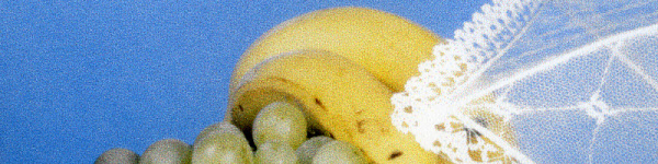 Canon Pixma MG5650: Fotokopie in hoher Qualität.