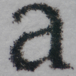 Canon Pixma MG5650: S/W-Kopie.