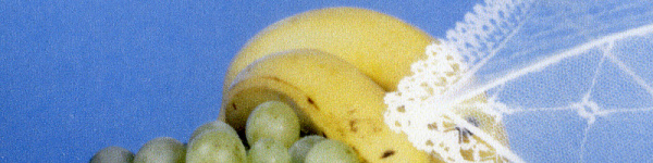 Canon Pixma MG7550: Fotokopie in hoher Qualität.