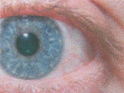 Canon Pixma TS7550i: »Normalpapier, Sinnvolle Qualität« - Drucktempo 41 Sekunden.