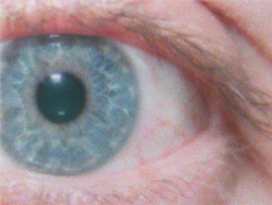 Canon Pixma TS7550i: »Glanzpapier, Maximale Qualität« - Drucktempo 1:47 Minuten.