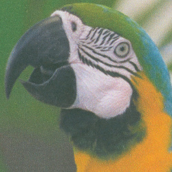 Canon Pixma TS7550i: »Normalpapier, Sinnvolle Qualität« - Drucktempo 41 Sekunden.