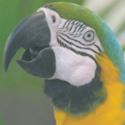 Canon Pixma TS7550i: »Glanzpapier, Sinnvolle Qualität« - Drucktempo 1:37 Minuten.