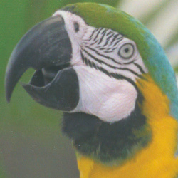 Canon Pixma TS7550i: »Glanzpapier, Maximale Qualität« - Drucktempo 1:47 Minuten.