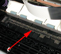 Canon S900 - Randlosdruck