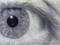 Auge (SW) Direktdruck (IRDA)