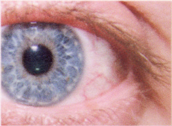 Das kleine Auge beim CD-Druck auf 12 x 17 mm.