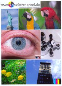 Druckerchannel Foto